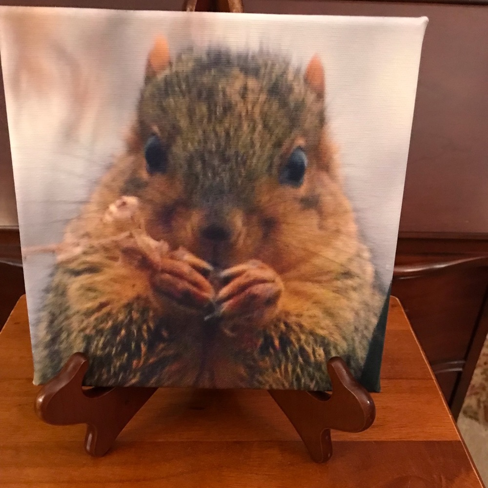 8 x 8 print of my photo on canvas